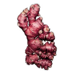 Red Ginger